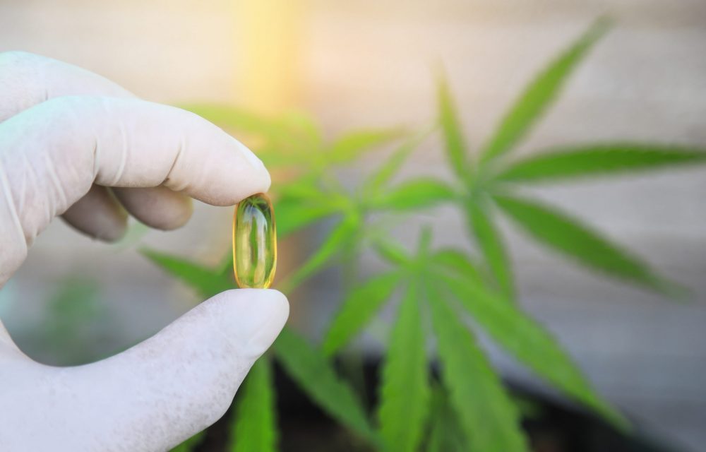 Cannabis Validation Certificates - NACPT